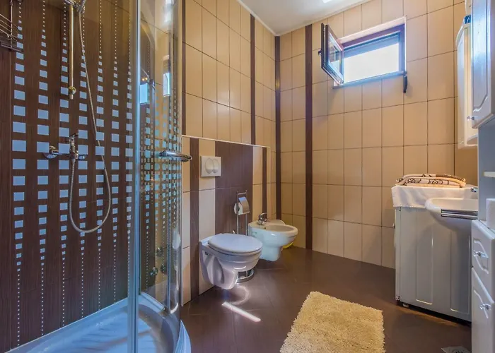 Apartment Nevelina *